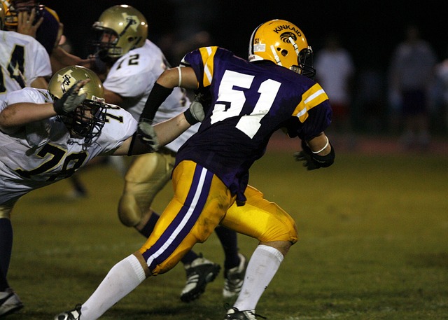 极的战术策 极的战术策