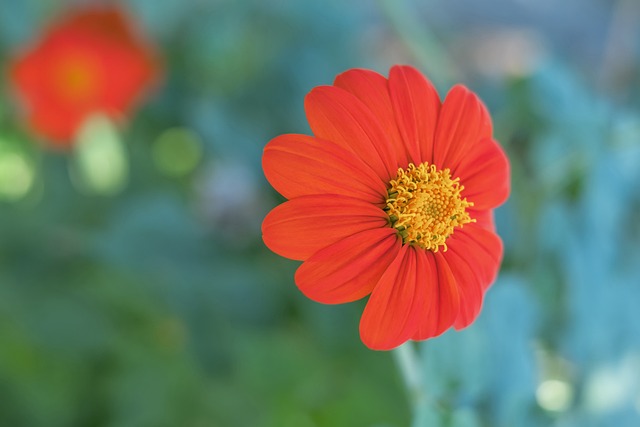 尽量选择适 尽量选择适