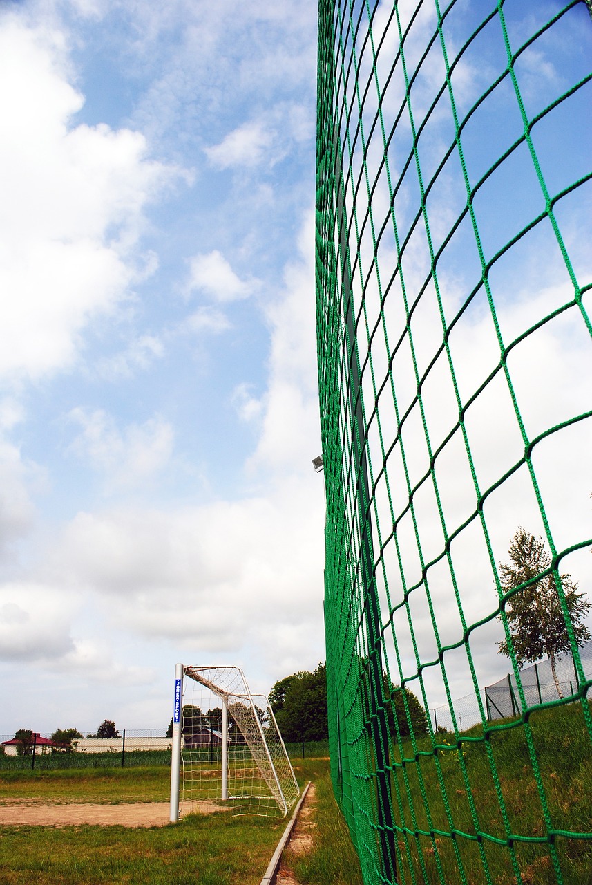 定义了他们 定义了他们