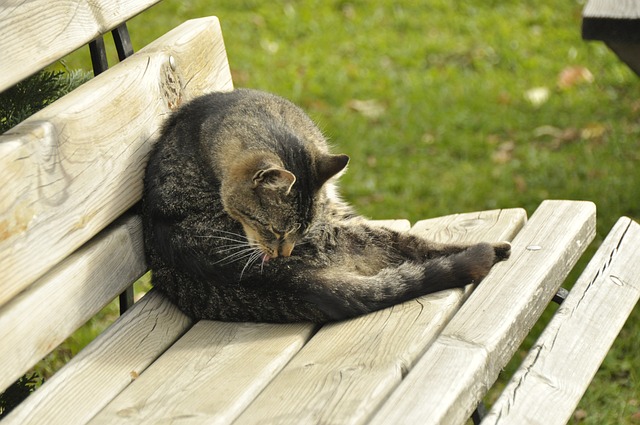 持续贡献成